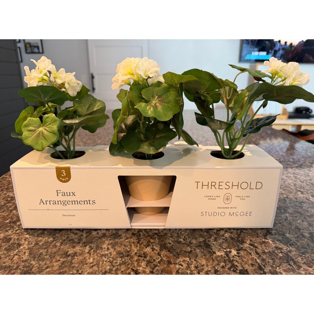 Threshold Studio McGee 3 Piece Faux White Geranium Floral Arrangements in Pots